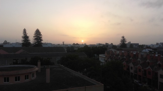 AMANECER P JARDÍN 1