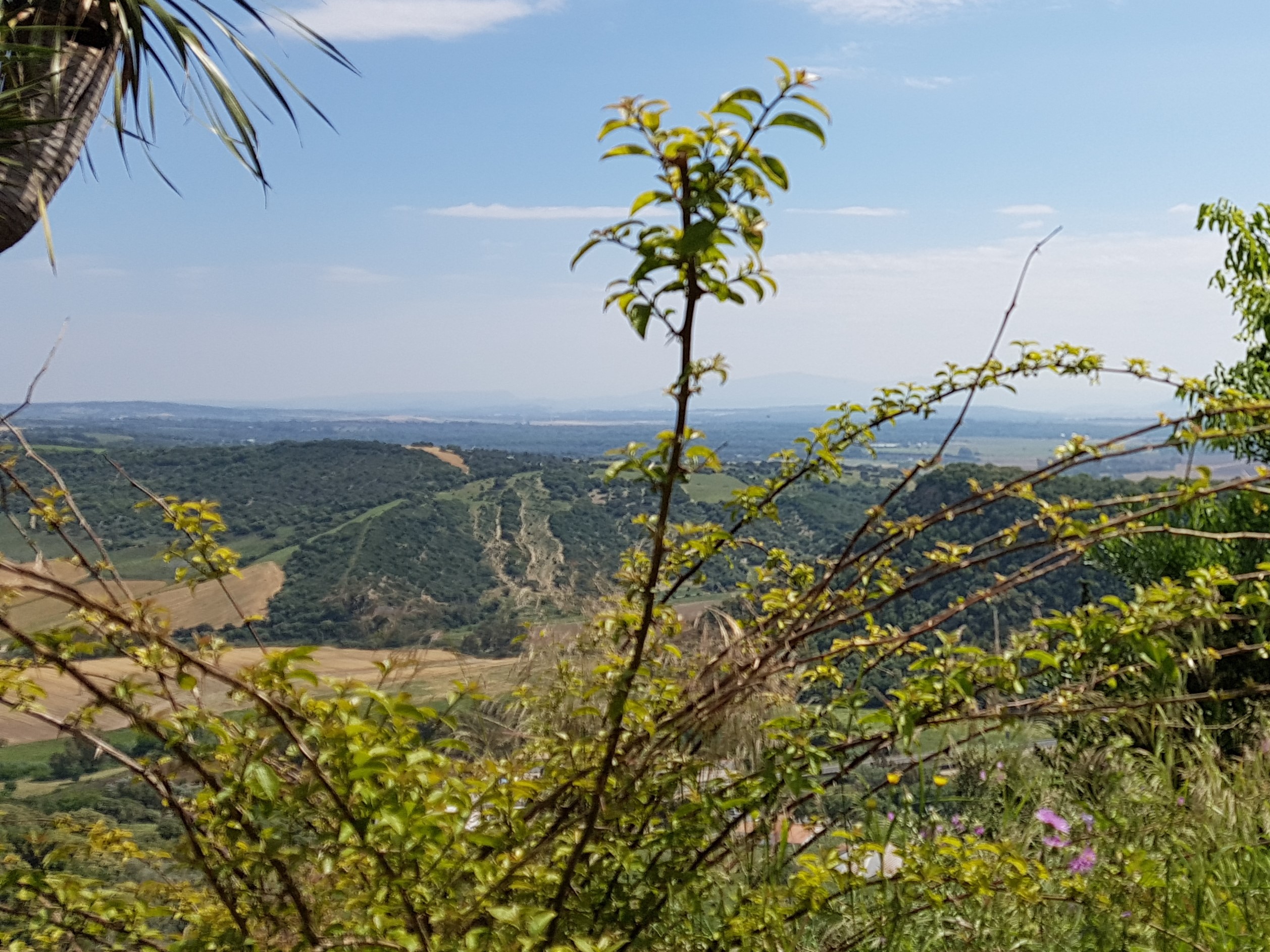 VIENTO EN EL PÁRAMO A (2).jpg