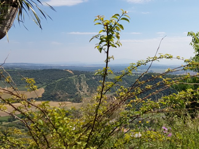 VIENTO EN EL PÁRAMO A (2).jpg