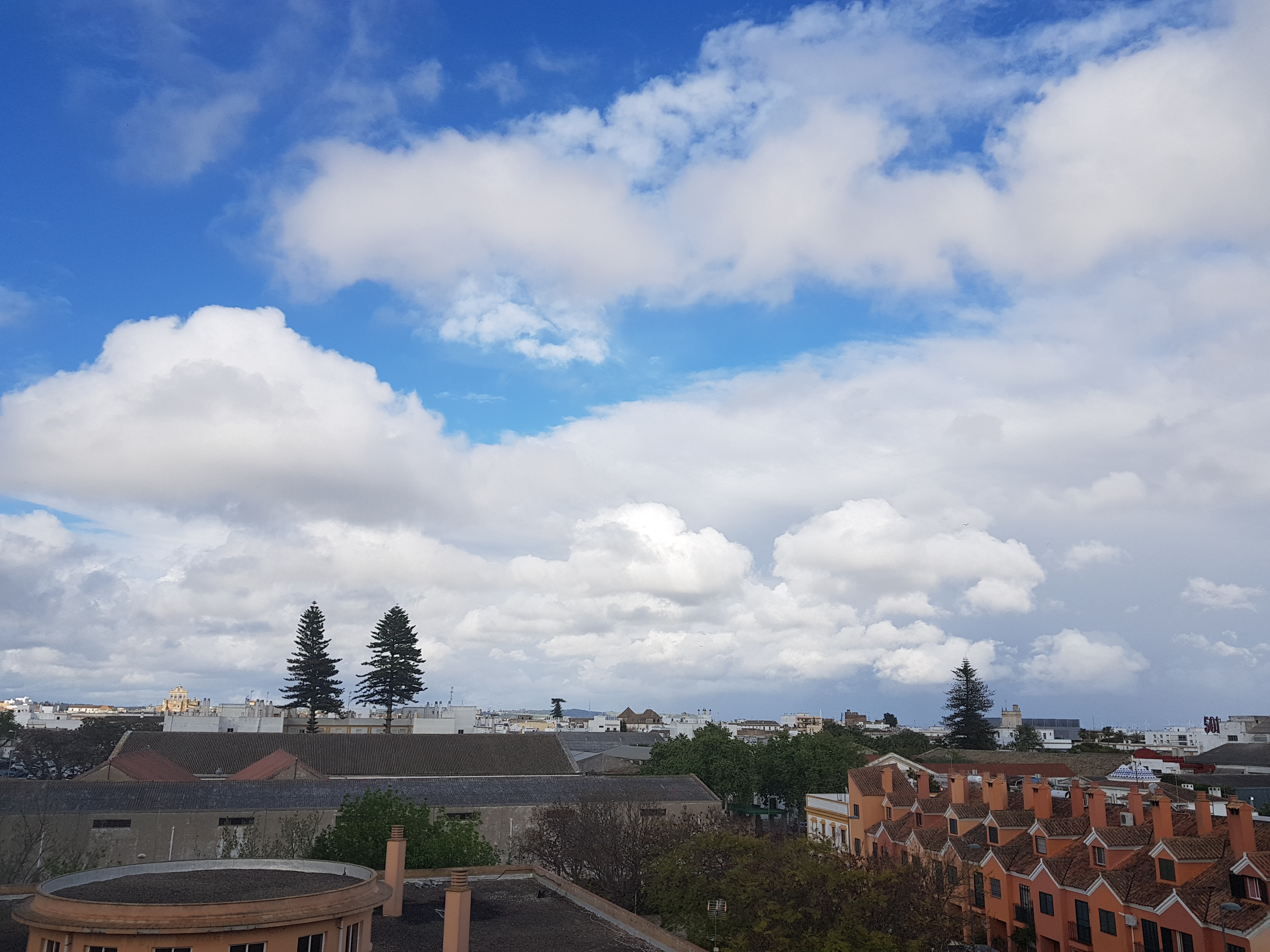 BALCÓN MARZO 2020 (4)